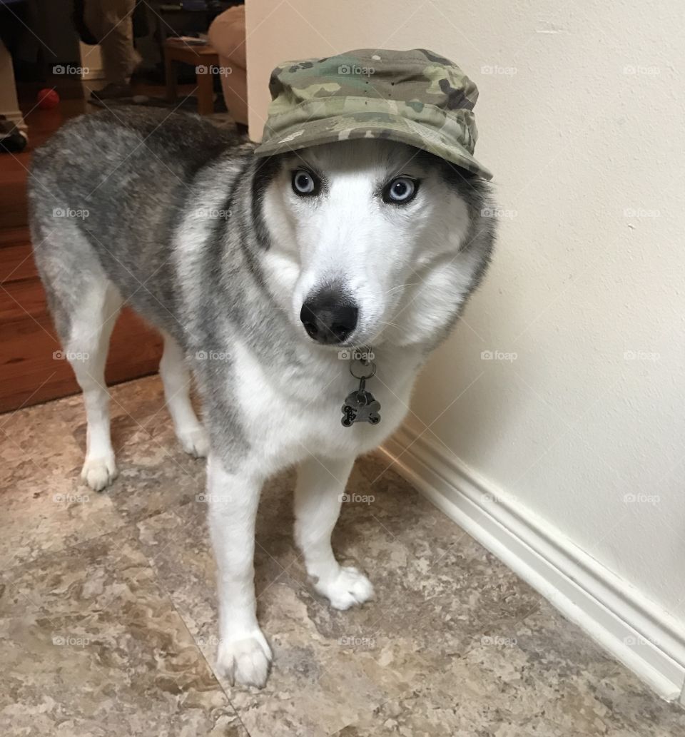 Orion wearing army hat