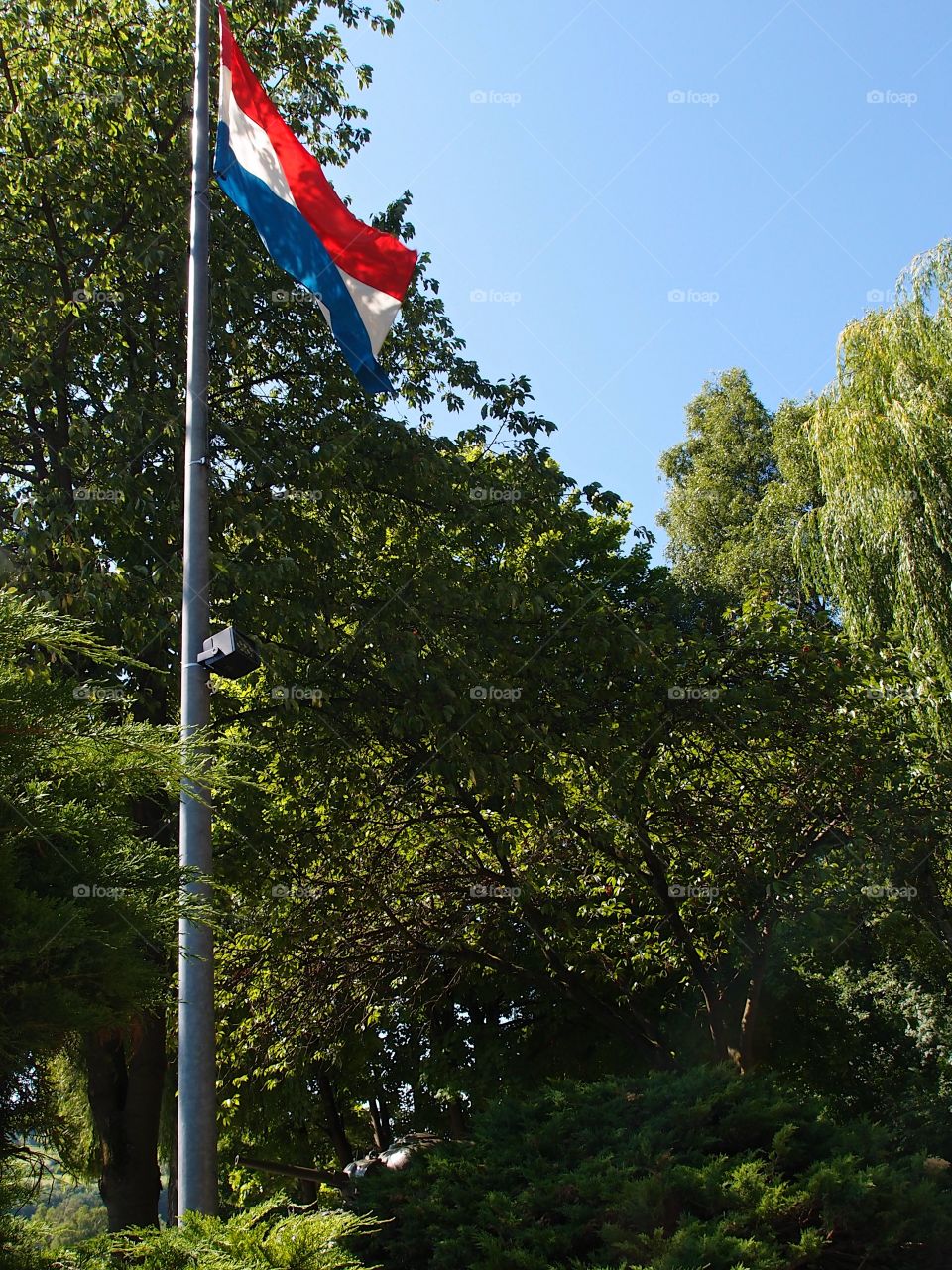 The flag of the wonderful people of Luxembourg waves through the trees on a sunny summer day. 