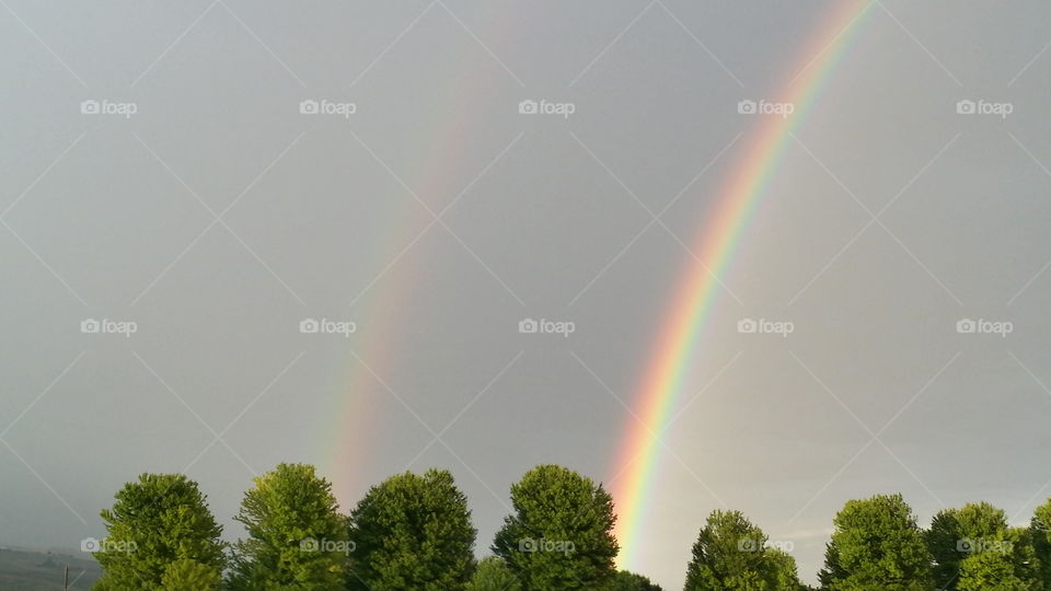 Double Rainbow