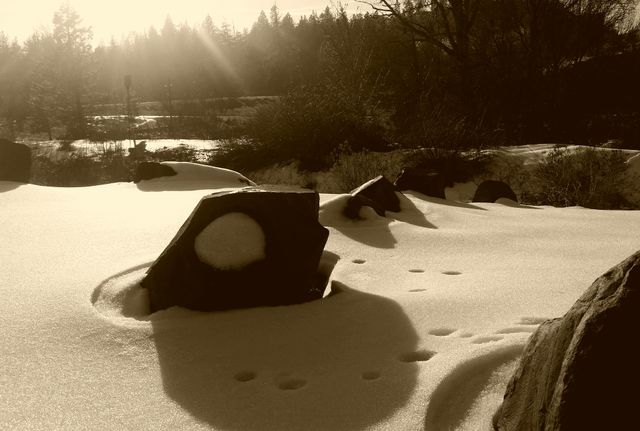 Rock, snow and shadow