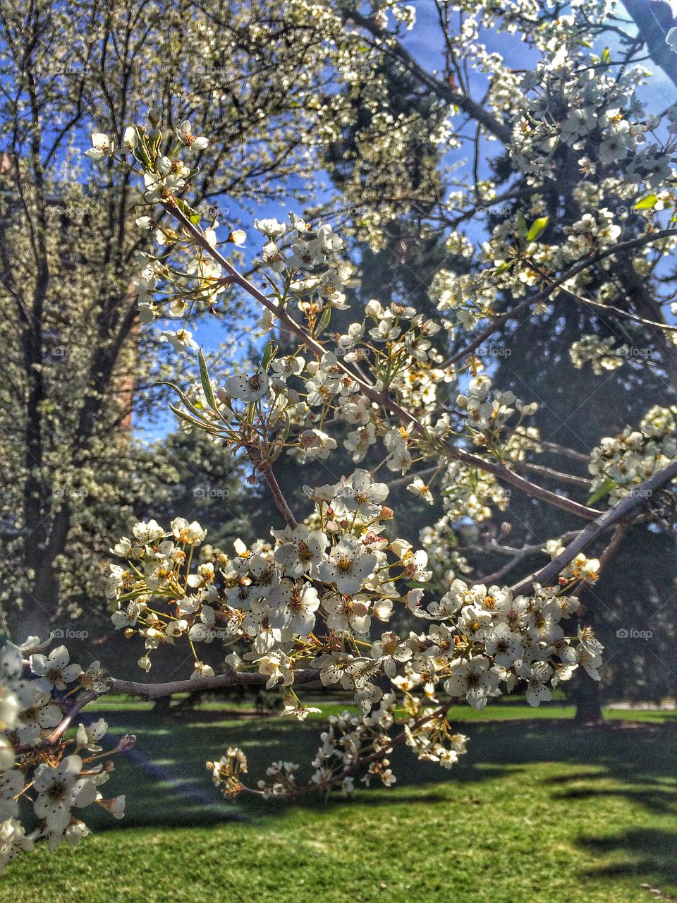 Spring has sprung in Colorado