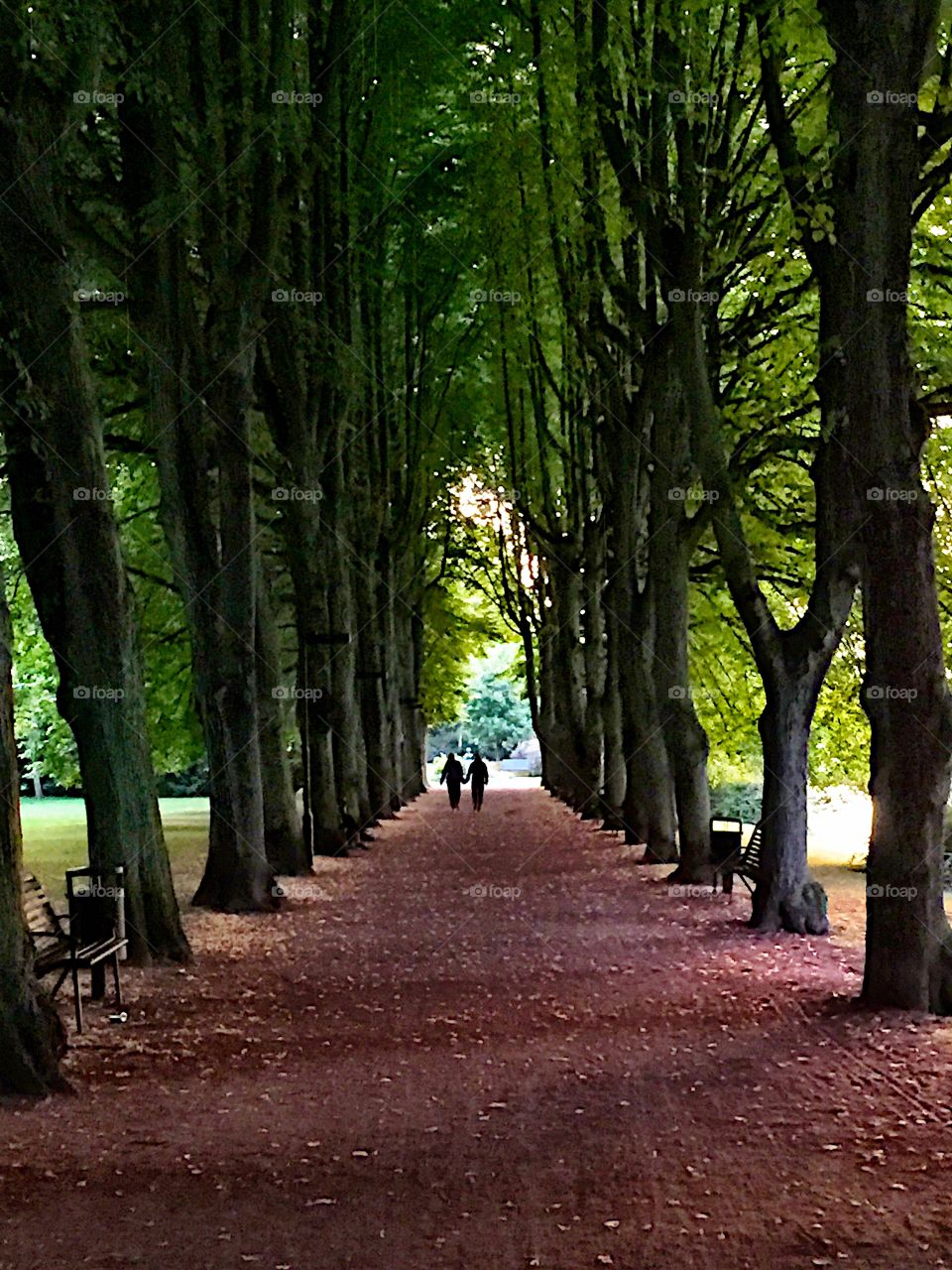 Couple in the park