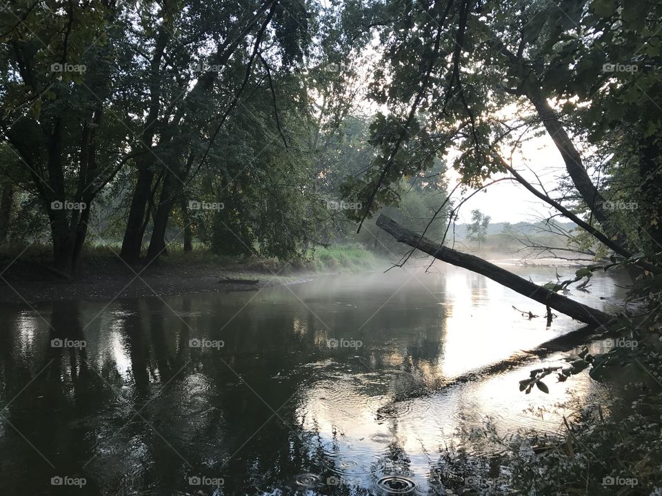 Fog on the Lake