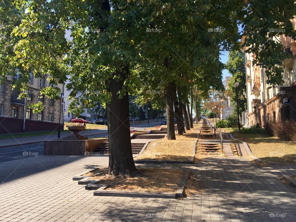 Autumn in the streets of Minsk