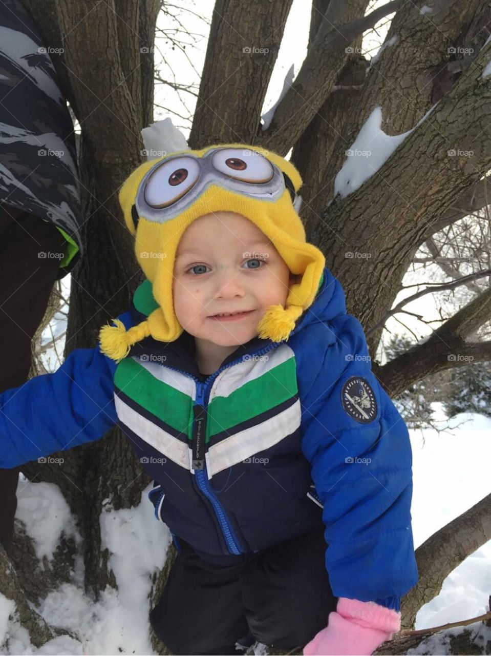 There is a minion in my tree!