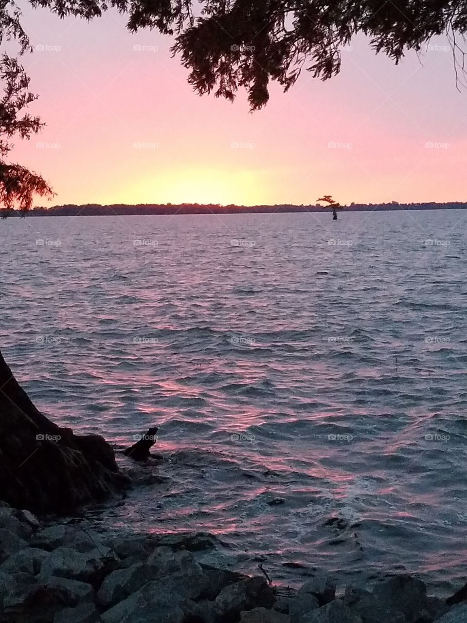 sunset on Reelfoot lake