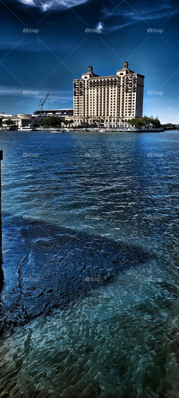 Savannah Westin hotel