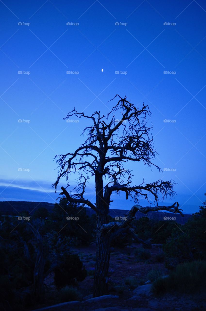 Moonlight . Canyonlands, Utah