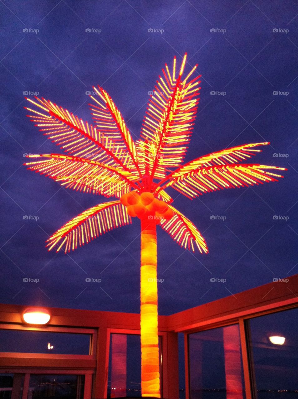 Bright Palm Tree