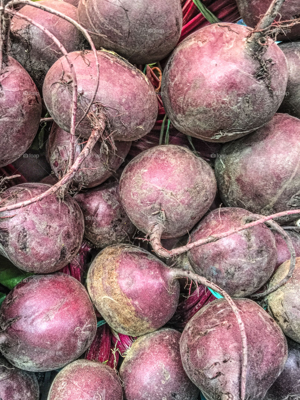 Directly above shot of beetroot vegetable