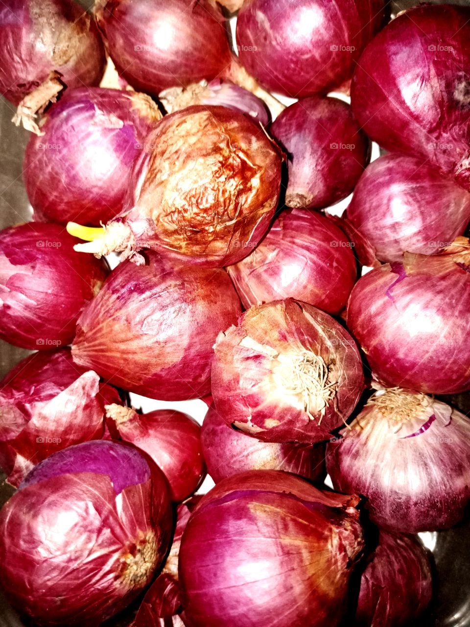 shallot red