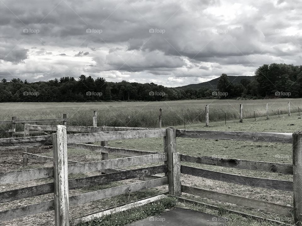 Fence, No Person, Landscape, Farm, Grass