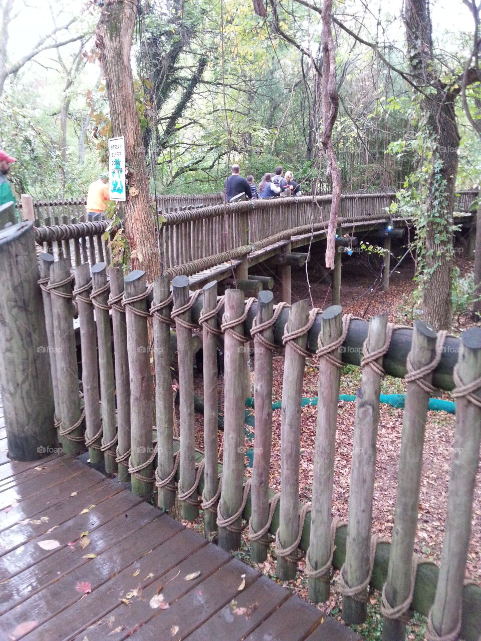 Walking Bridge Nashville Zoo