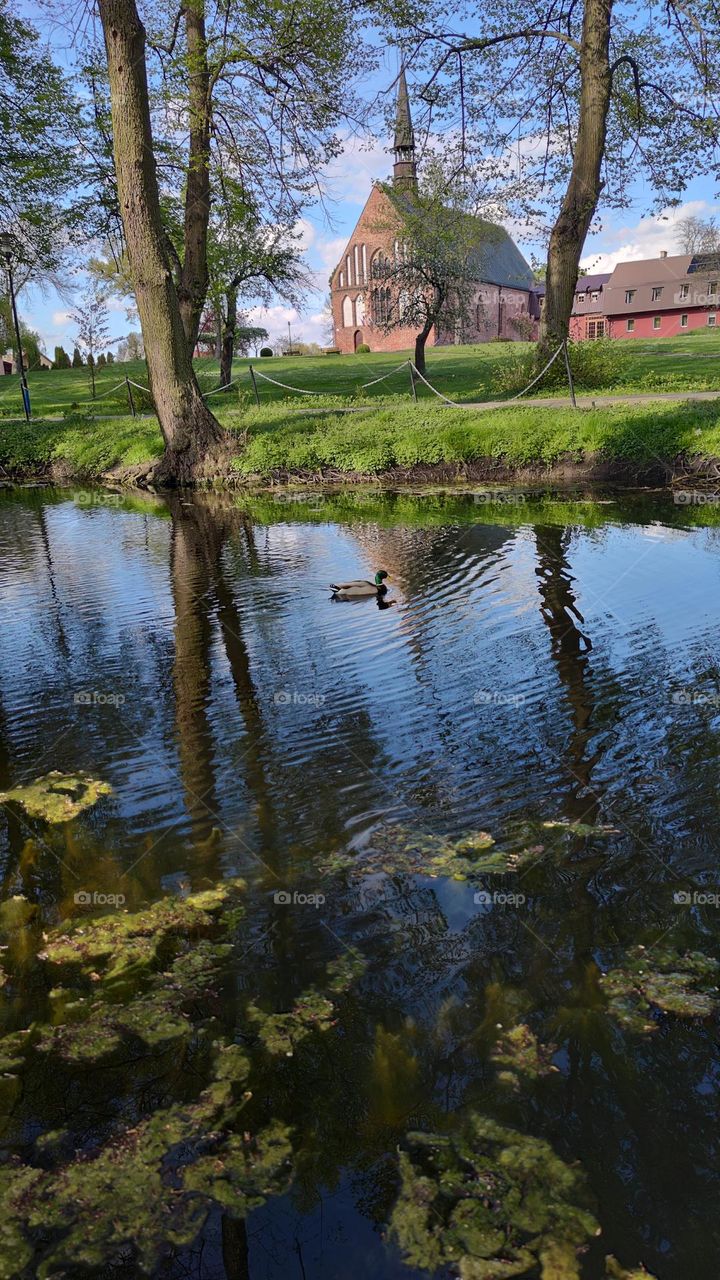 small lake in the city park near the cathedral