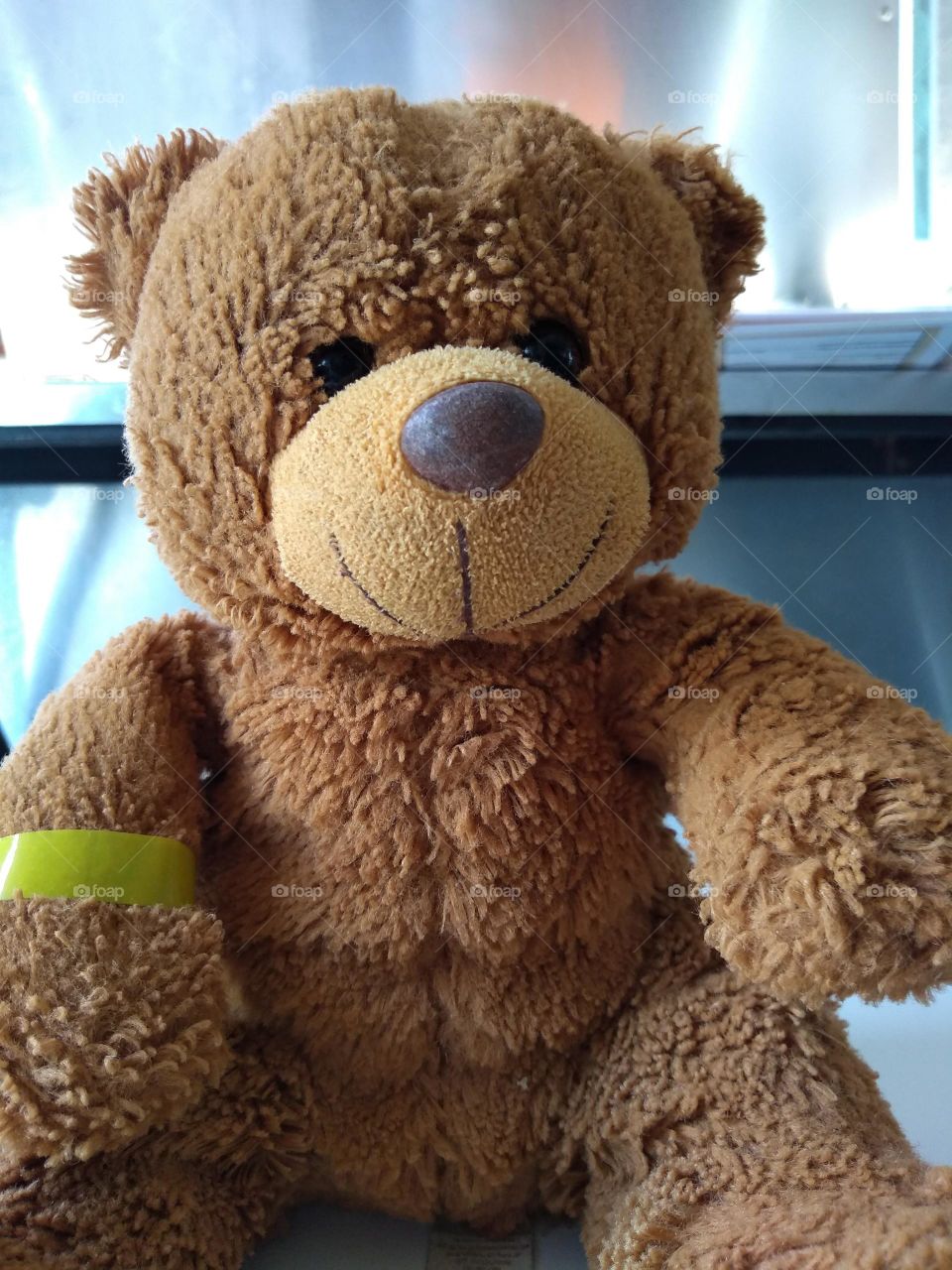 urso Ted