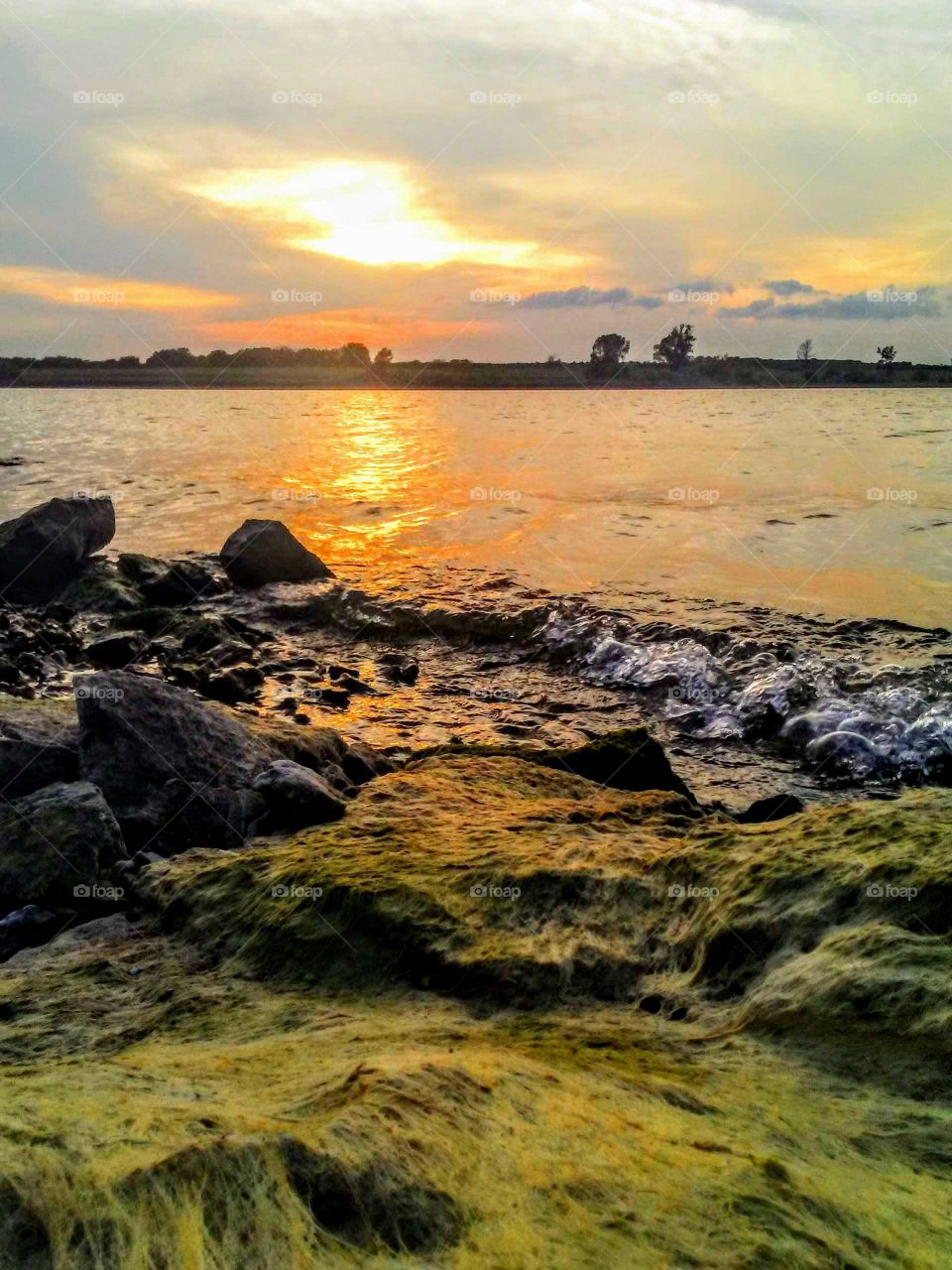 Pretty Sunset at the Lake & Moss Covered Rocks "Evening Delight"