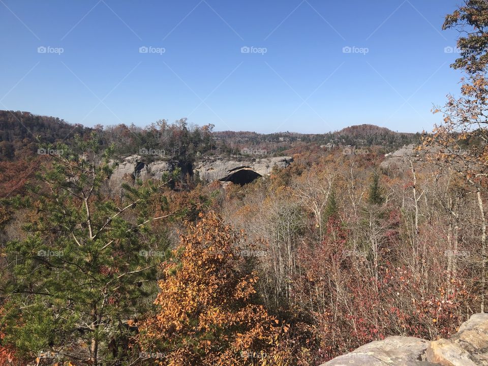 Natural Arch features fall colors 