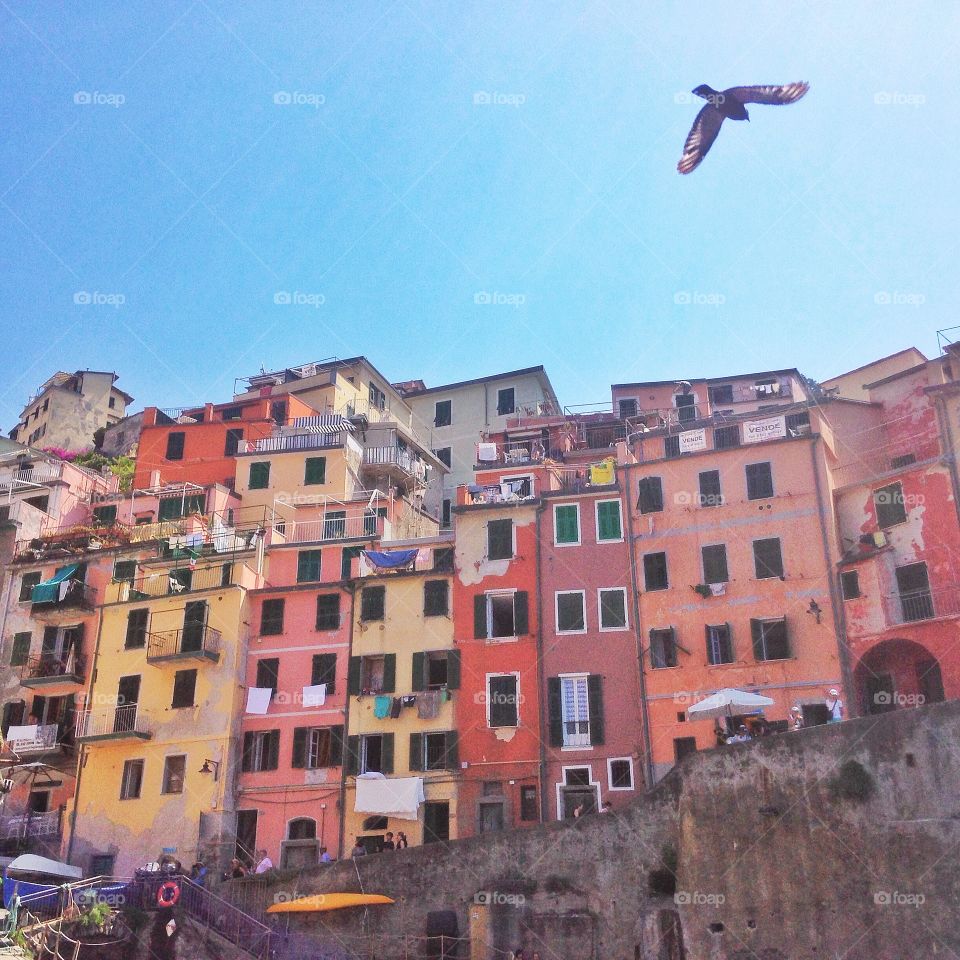 Cinqueterre