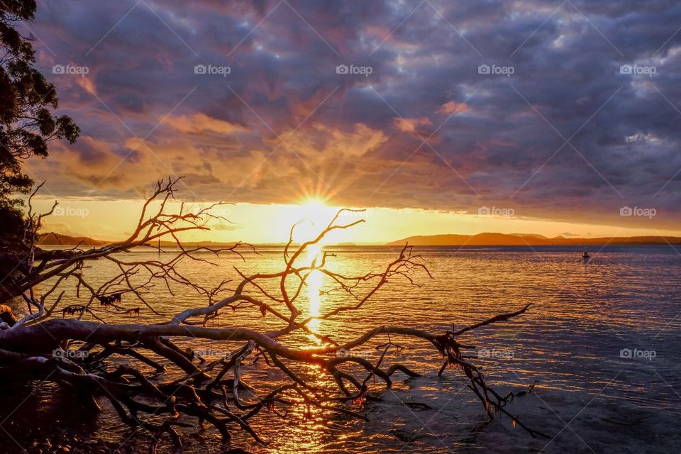Sun setting over the ocean with fallen tree silhouette and dramatic sky