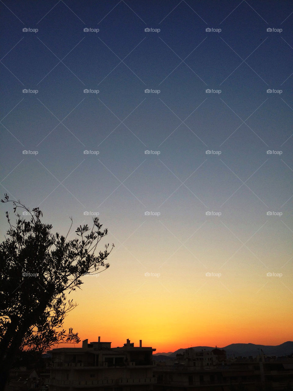 sky city tree sunset by mattharrisonnn