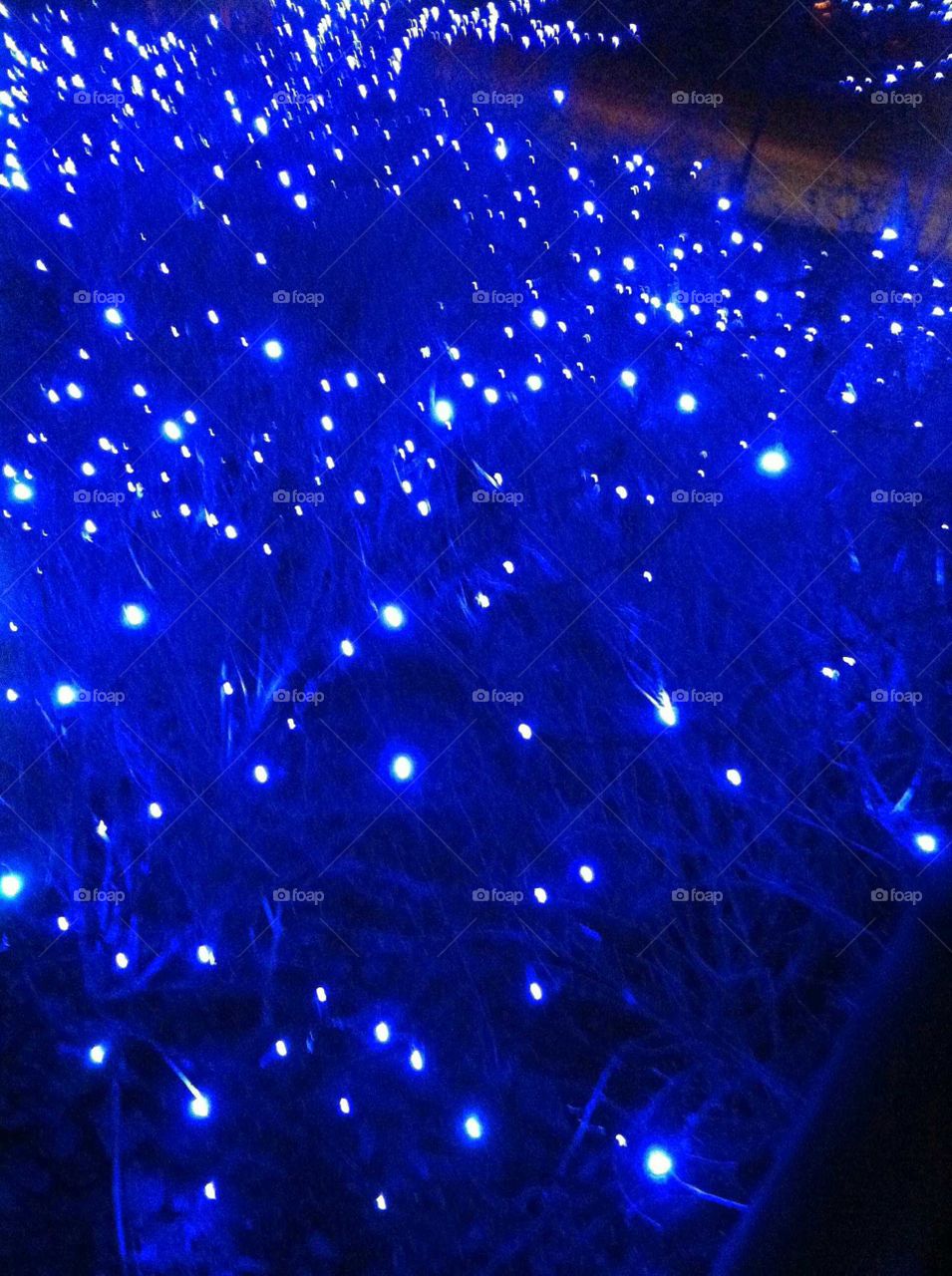 Christmas lights under the snow making everything look blue