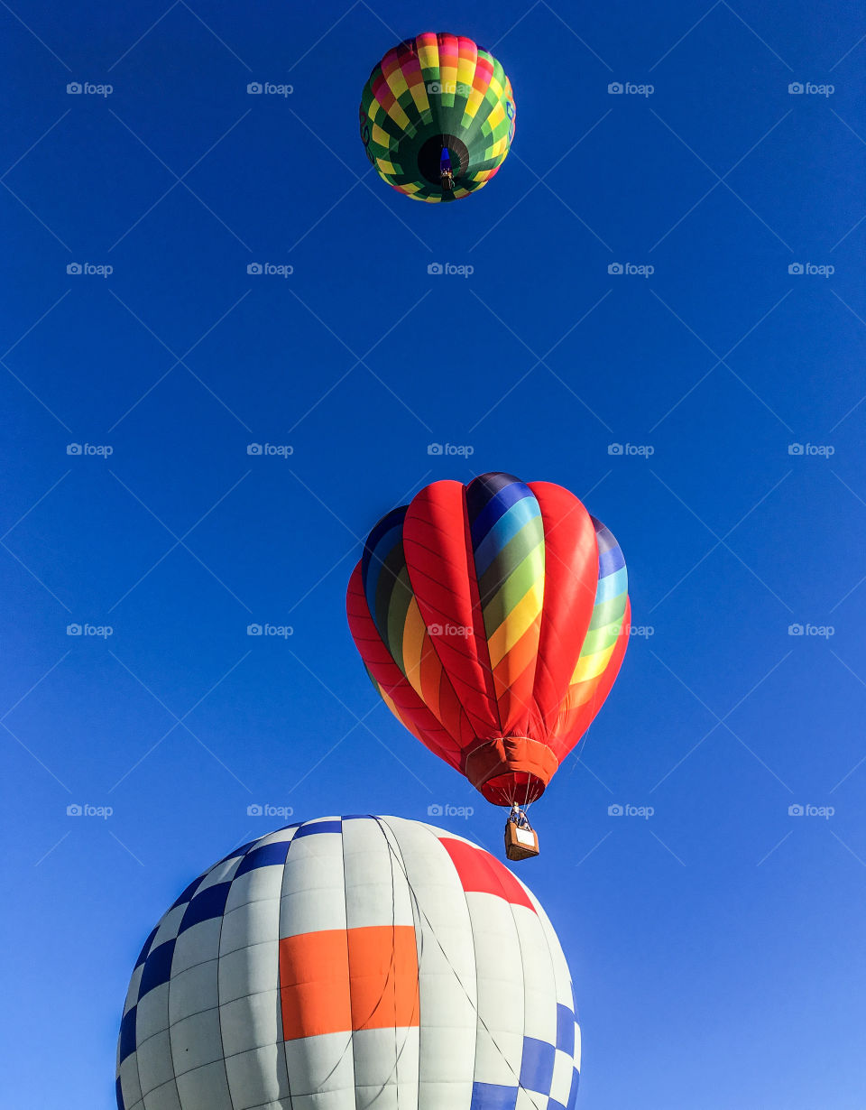 Taking flight - as the morning progresses, more and more balloons are taking to the sky. 