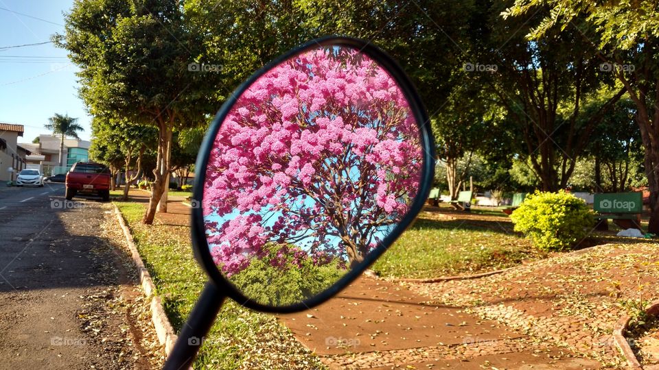 Retrovisor. veja no espelho a paisagem da praça.