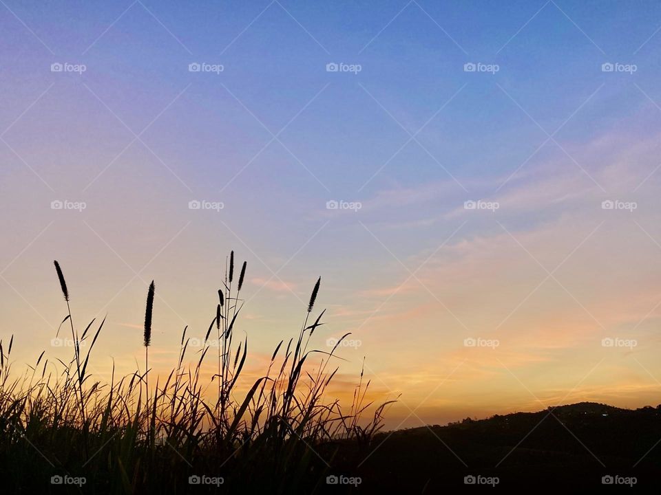 🌇🇺🇸 An extremely beautiful sunset in Jundiaí, interior of Brazil. Cheer the nature! / 🇧🇷 Um entardecer extremamente bonito em Jundiaí, interior do Brasil. Viva a natureza! 