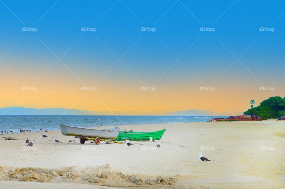 Boat and seagull on the Atlantic coast in Brazil