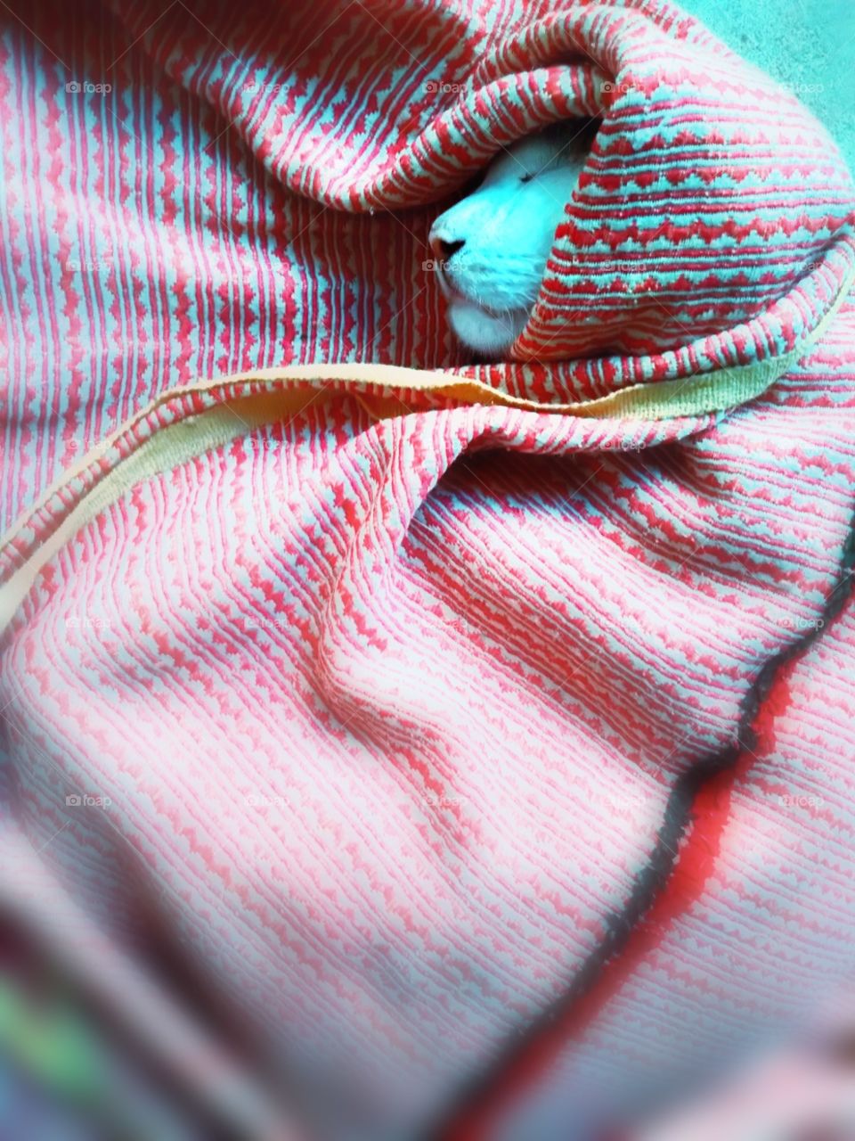 it's not summer, he always love to sleep like this.* i tooo..... *