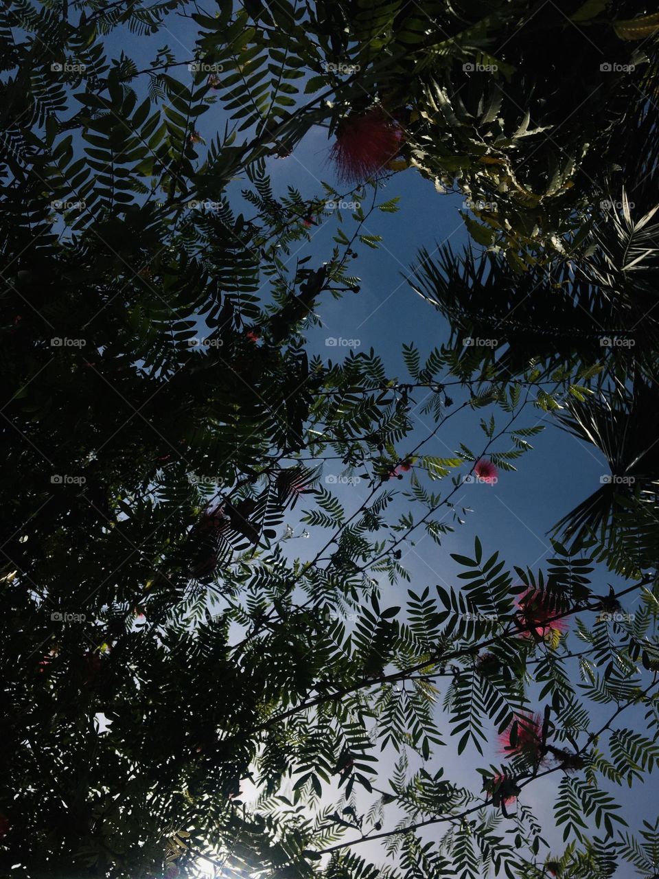 Trees are essential.. 