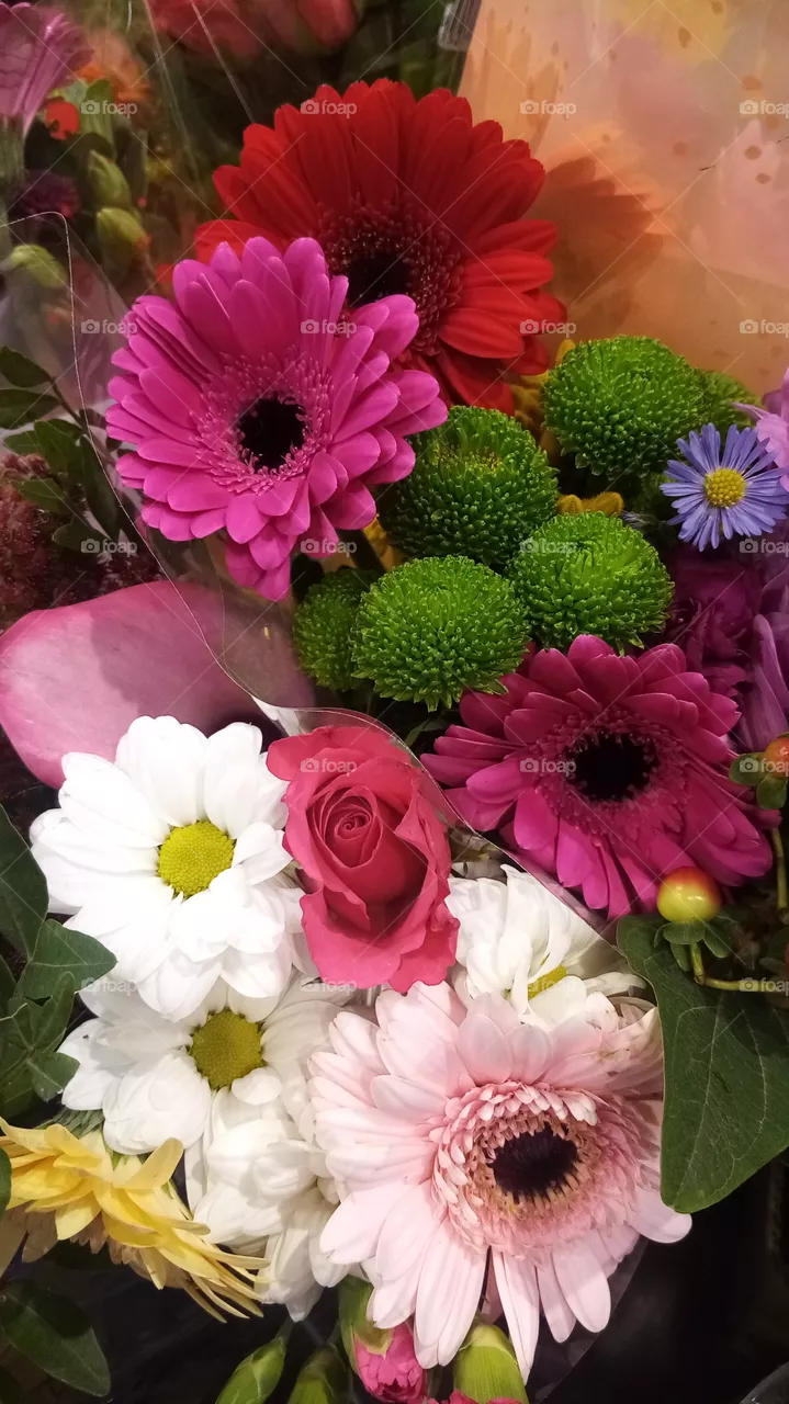 Blumen