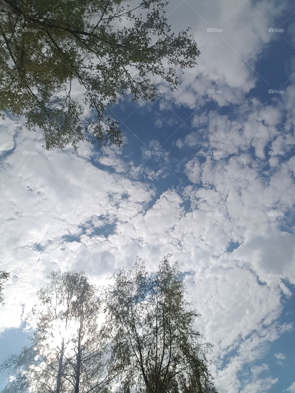 sky