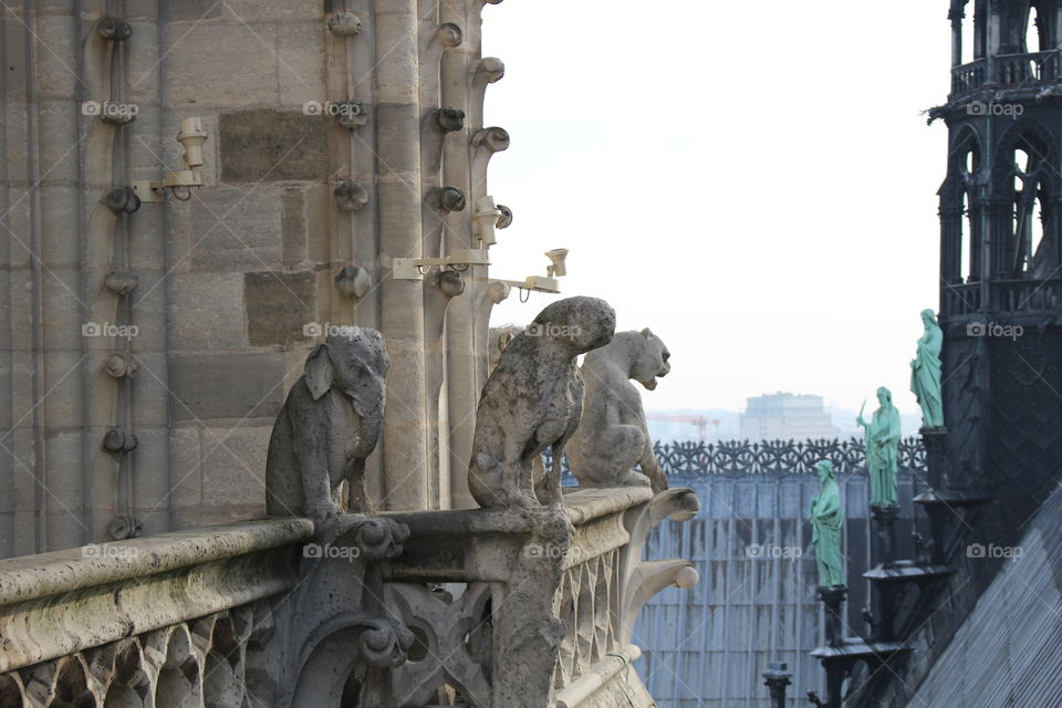 gargoyles