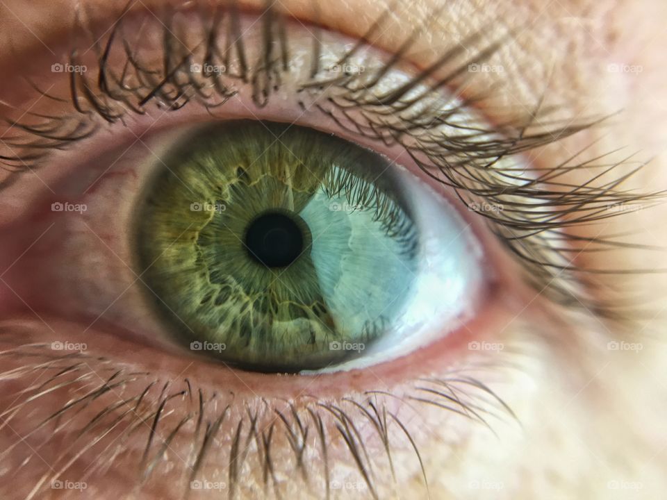 Close-up of green eyes