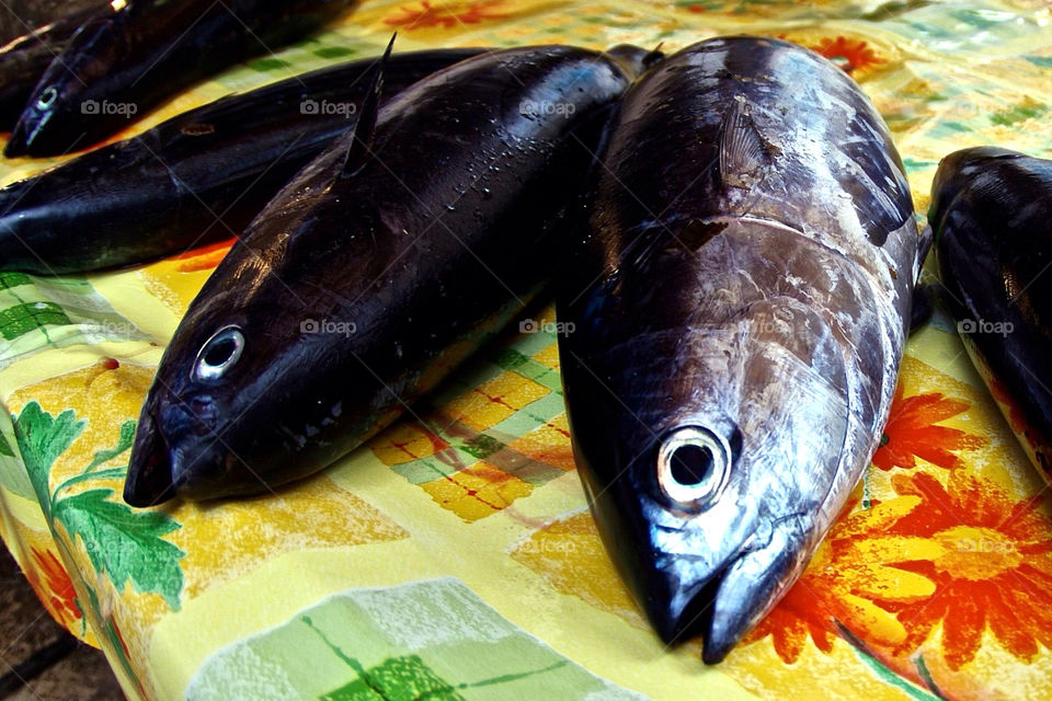 yellow food fish tuna by krispett