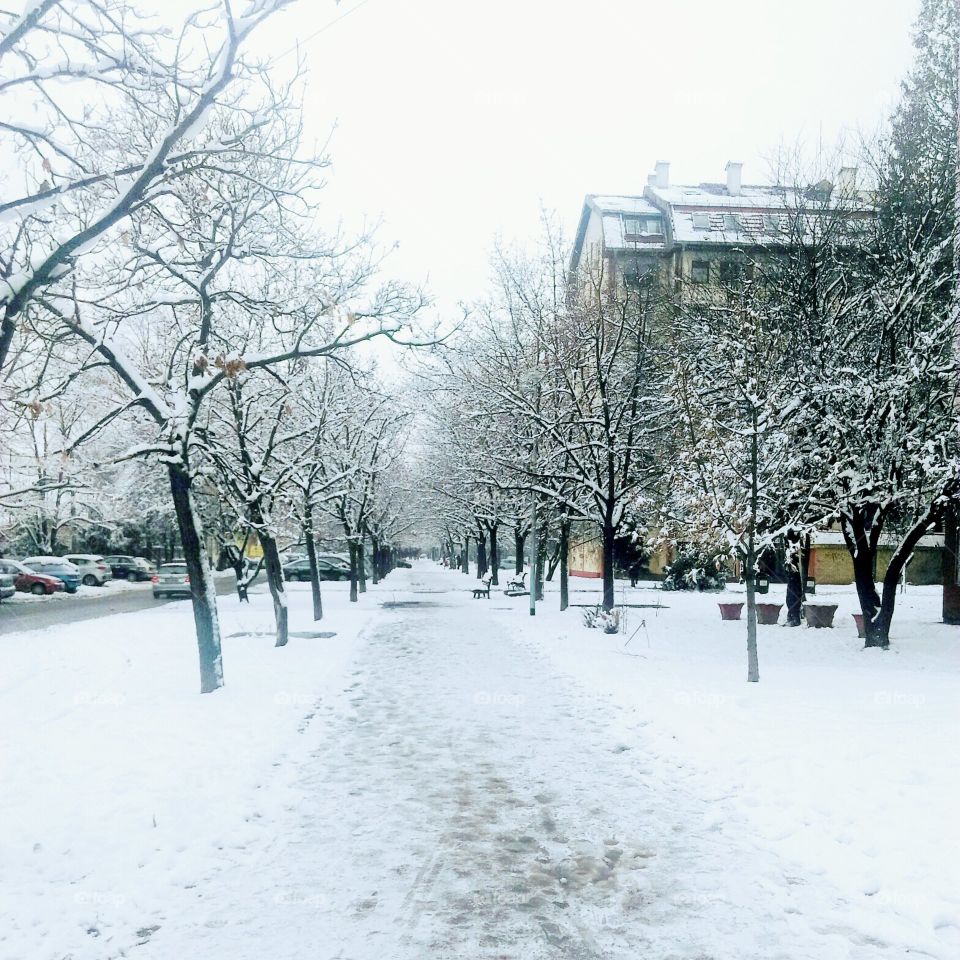 streets in the winter