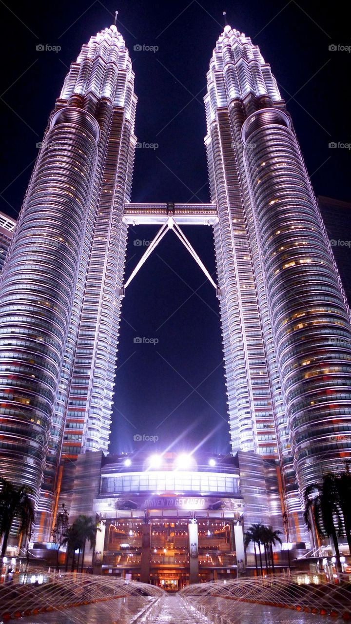 The Petronas 