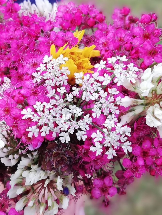 flowers