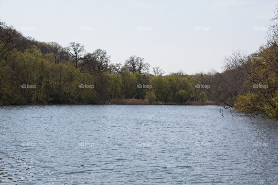 the river in the forest