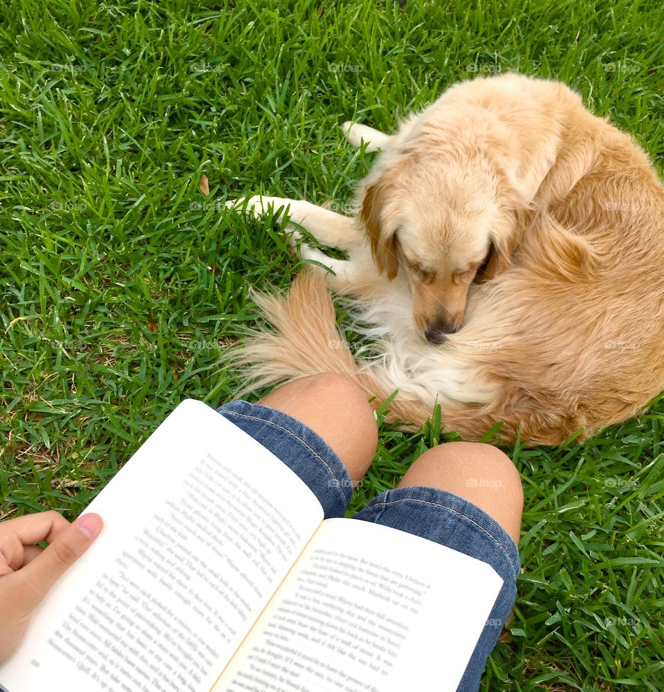 Me, my golden retriever and a good book