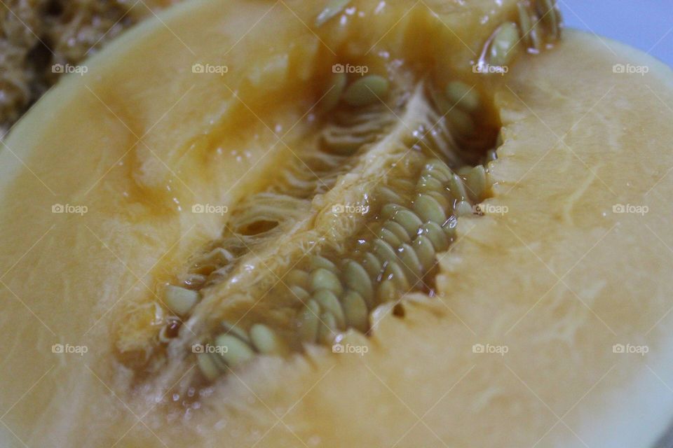 Musk Melon micro photography 