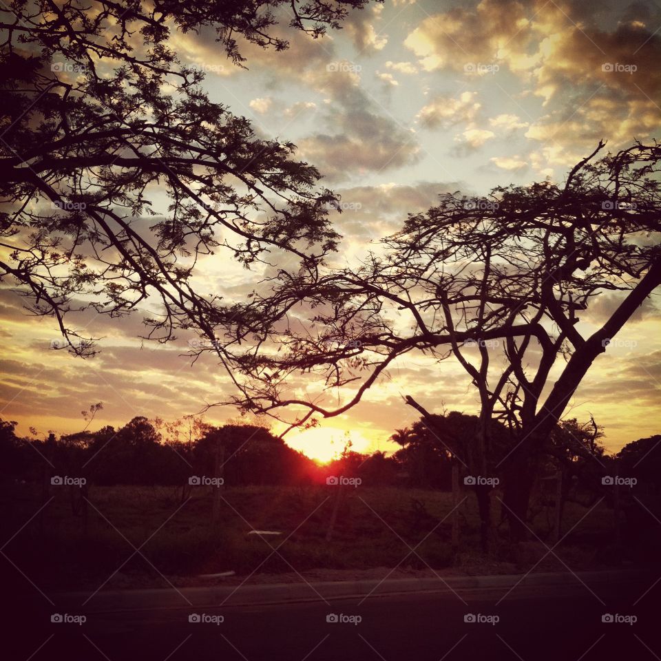 🌅Desperte, Jundiaí. 
Que a jornada diária possa valer a pena!
🍃
#sol #sun #sky #céu #photo #nature #morning #alvorada #natureza #horizonte #fotografia #pictureoftheday #paisagem #inspiração #amanhecer #mobgraphy #mobgrafia #Jundiaí #AmoJundiaí