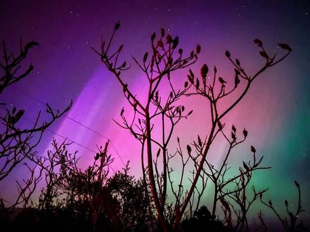 Pastel night