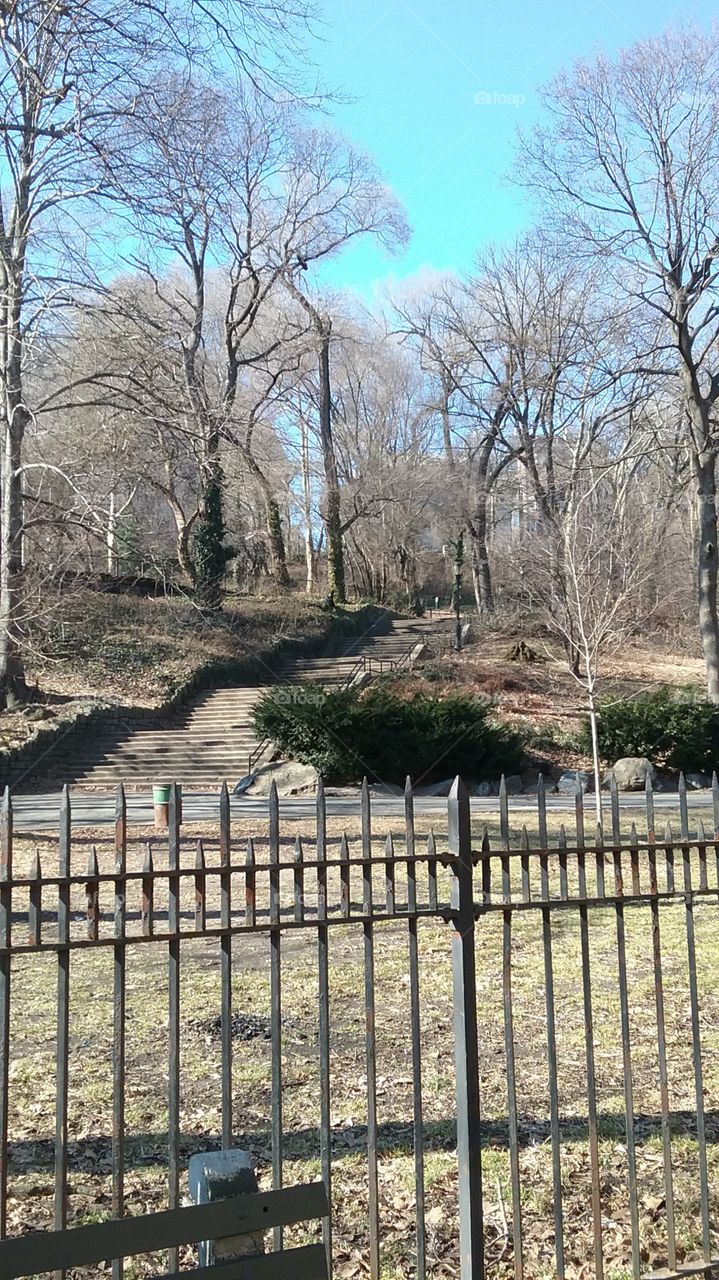 Steps in Morningside Park and iron fence