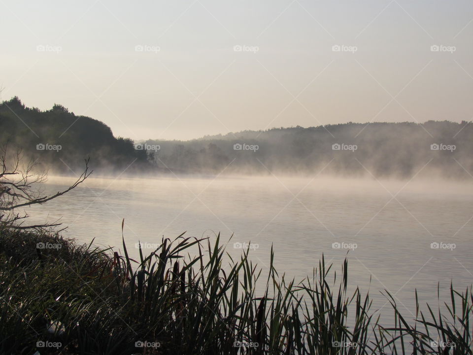 Foggy morning 