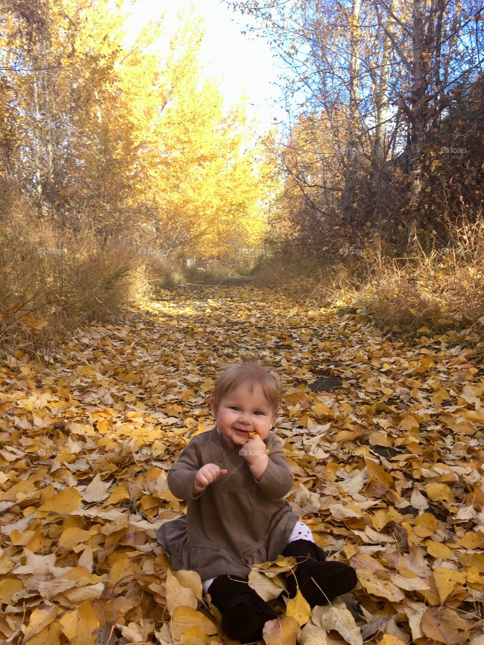 Baby in leafs