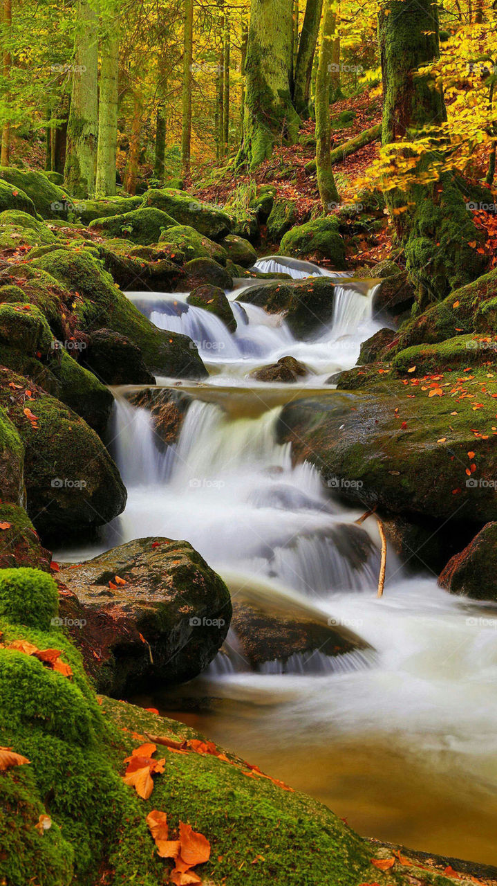 Waterfall creek