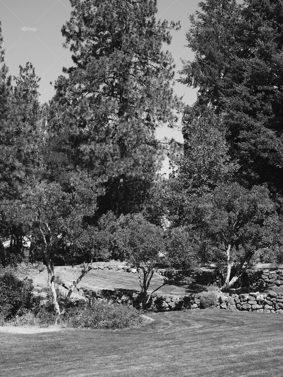 Beautiful landscaping at Pioneer Park in Bend in Central Oregon on a sunny summer morning. 