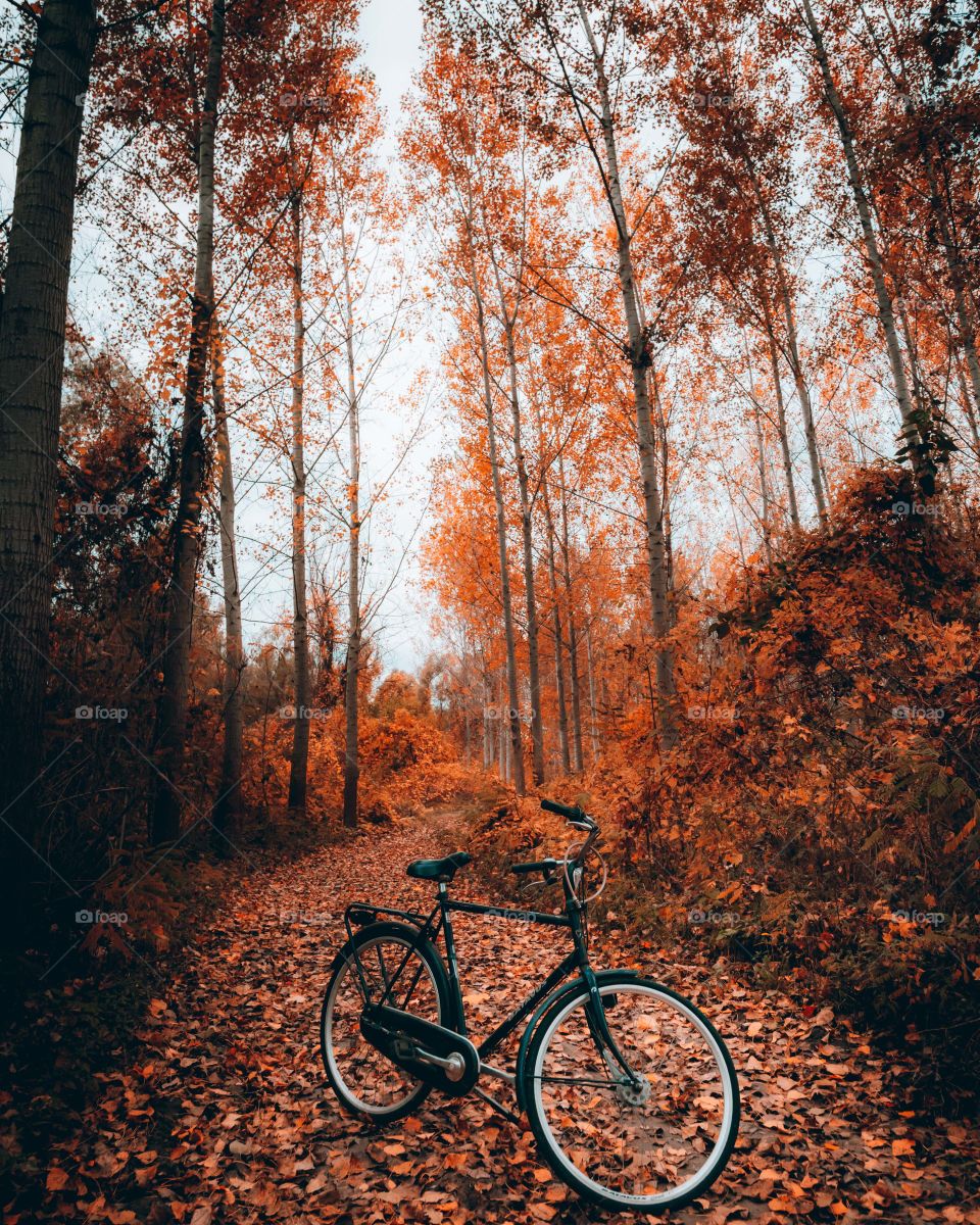 happy autumn therapy